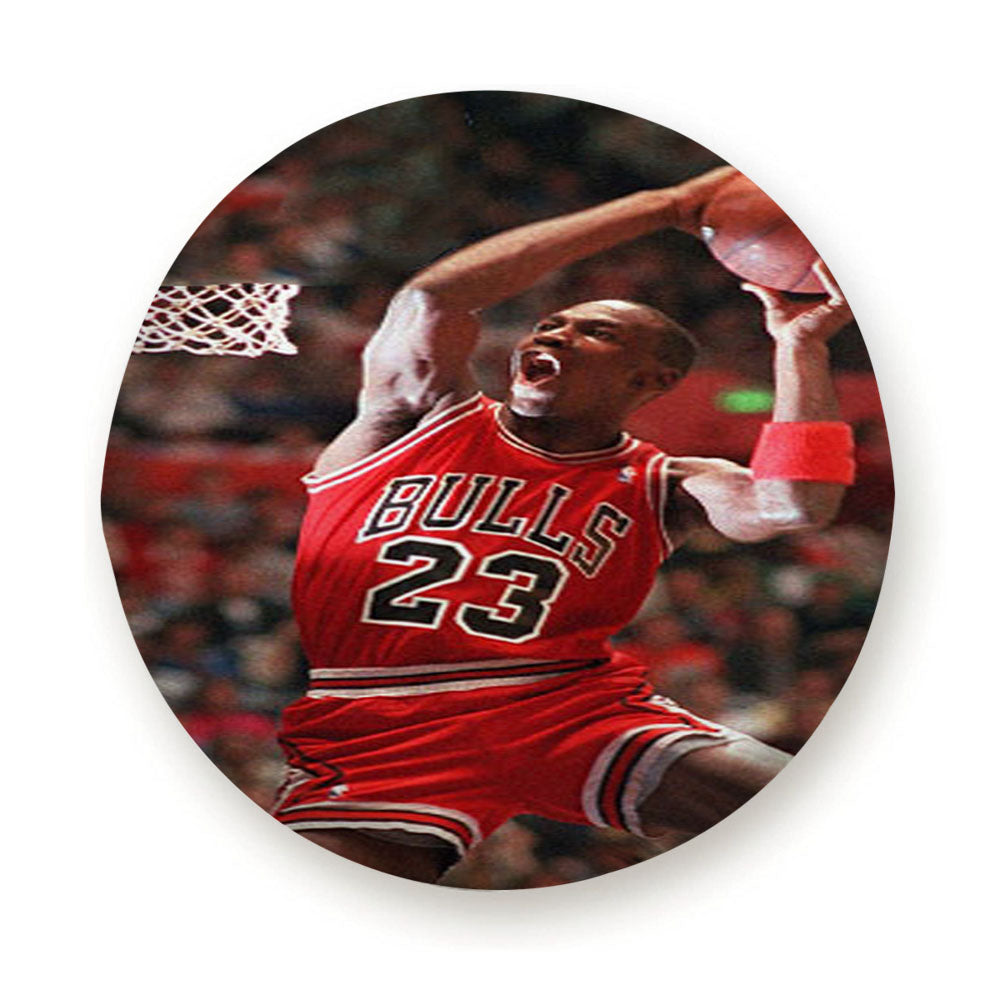 Air Jordan Basketball Tire Cover