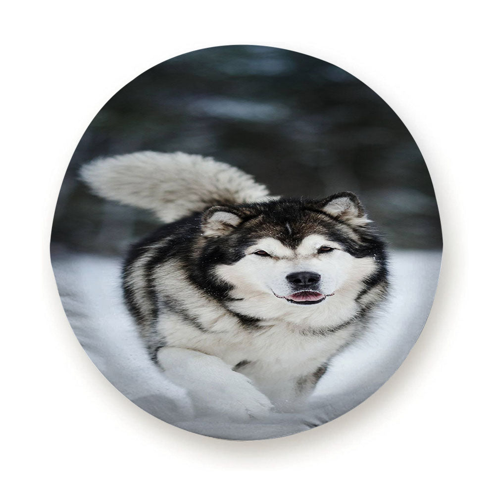 Alaskan Malamute Tire Cover