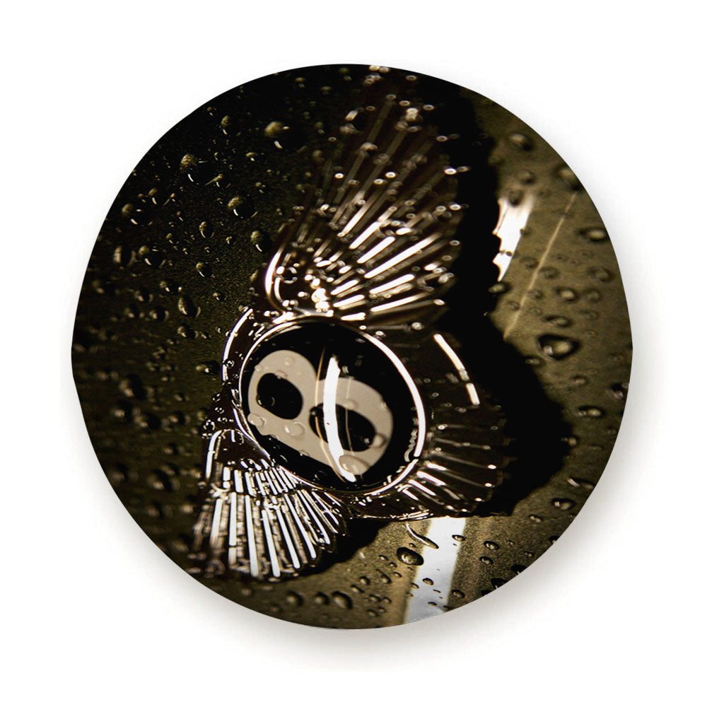 Bentley Continental Gt Tire Cover