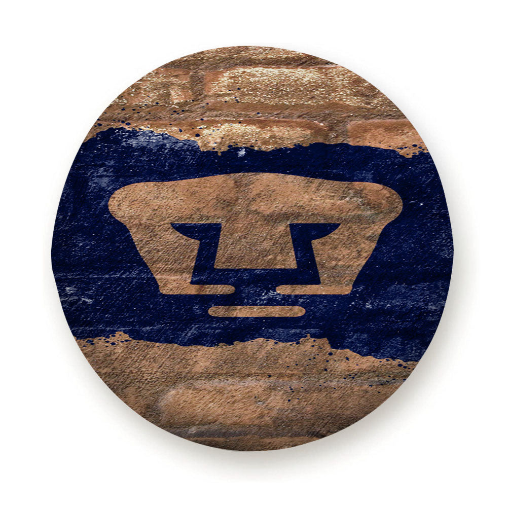Club Universidad Pumas Unam Wallpaper Tire Cover