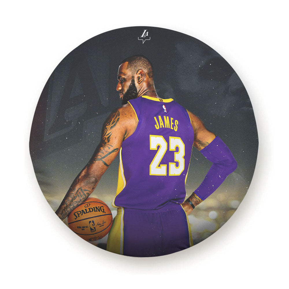 James 23 Nba Tire Cover