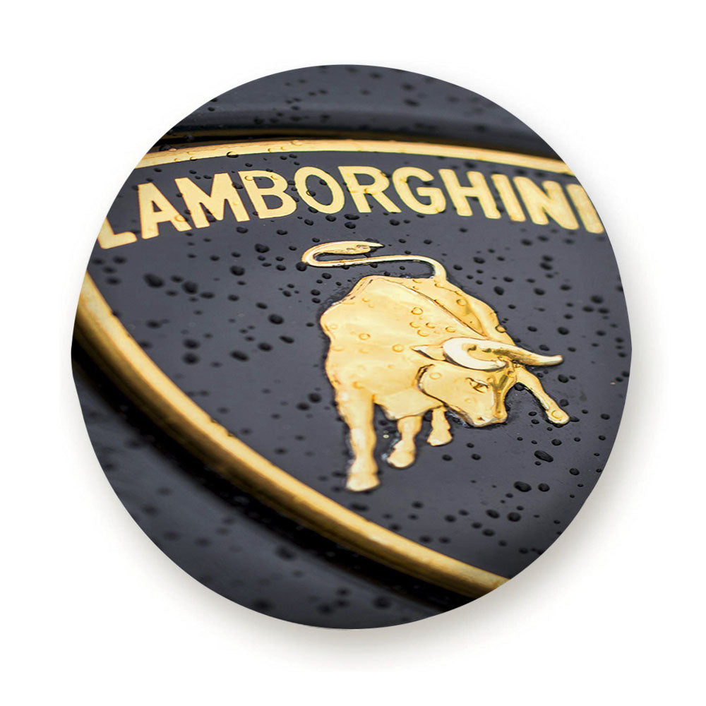 Lamborghini Rain Logo Tire Cover