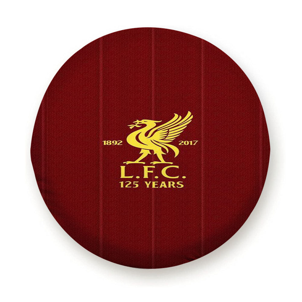 Liverpool Burberry Stripe Tire Cover