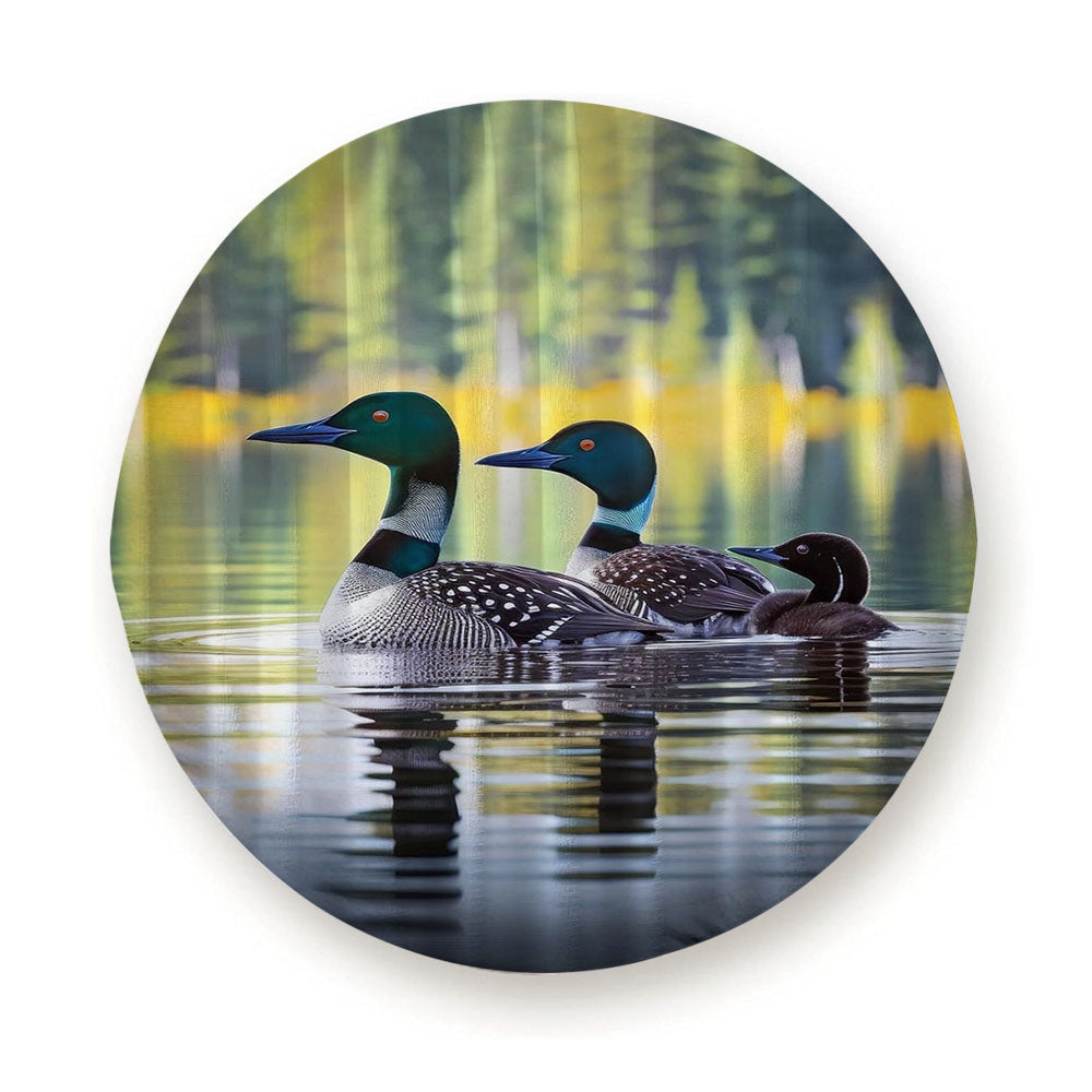 Loons Tire Cover